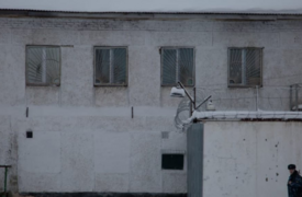 «Мама, ты только не падай. Я без рук остался»