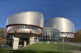 ЕСПЧ: Россия нарушает право на свободу собраний
