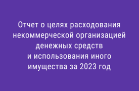 Отчет о целях расходования денежных средств. 2023г